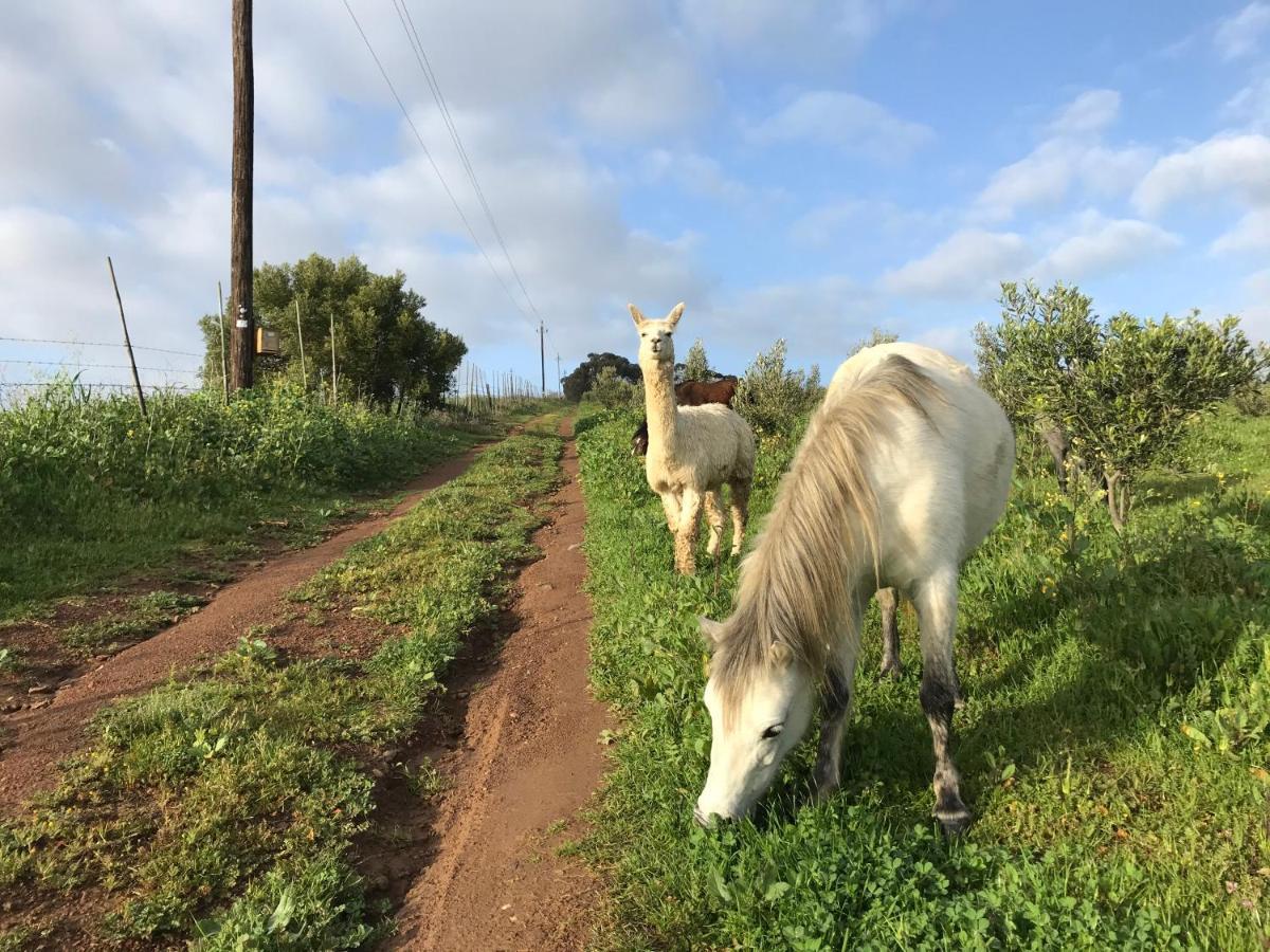 הוילה דרבנוויל Anna Beulah Farm מראה חיצוני תמונה