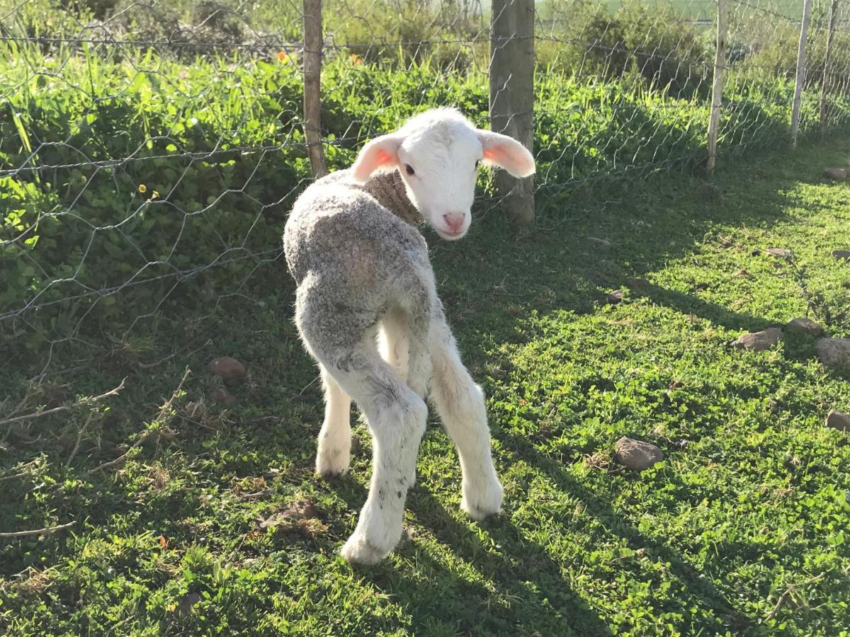 הוילה דרבנוויל Anna Beulah Farm מראה חיצוני תמונה